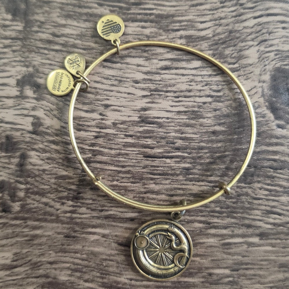 ALEX AND ANI Ouroboros Bangle Women Gold Infinity Unity Creation Bracelet